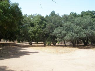 Crestridge Preserve Photos
