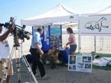 Big Dogs Rock News Photos