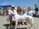 Gossamer Adopted by Charles Gorlinski and Family